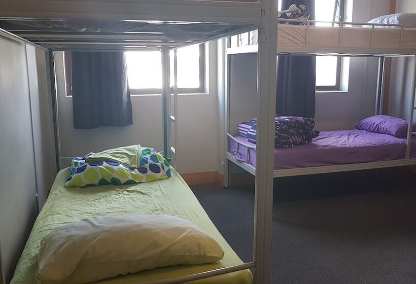 Общежитие Wild Zebra Backpackers