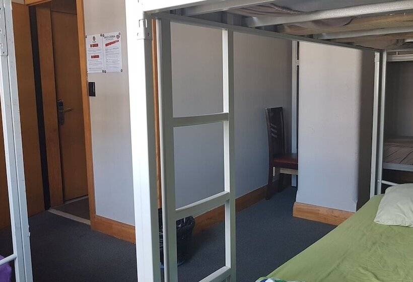 Общежитие Wild Zebra Backpackers