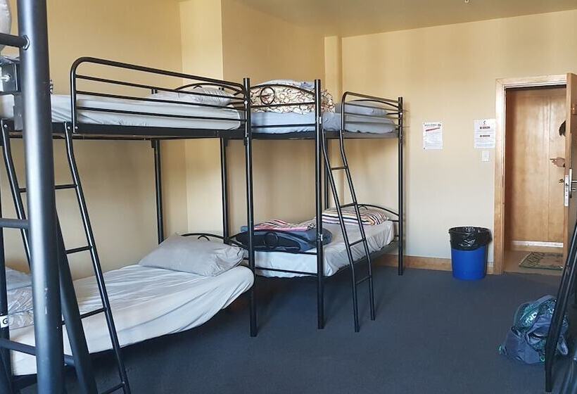 Общежитие Wild Zebra Backpackers