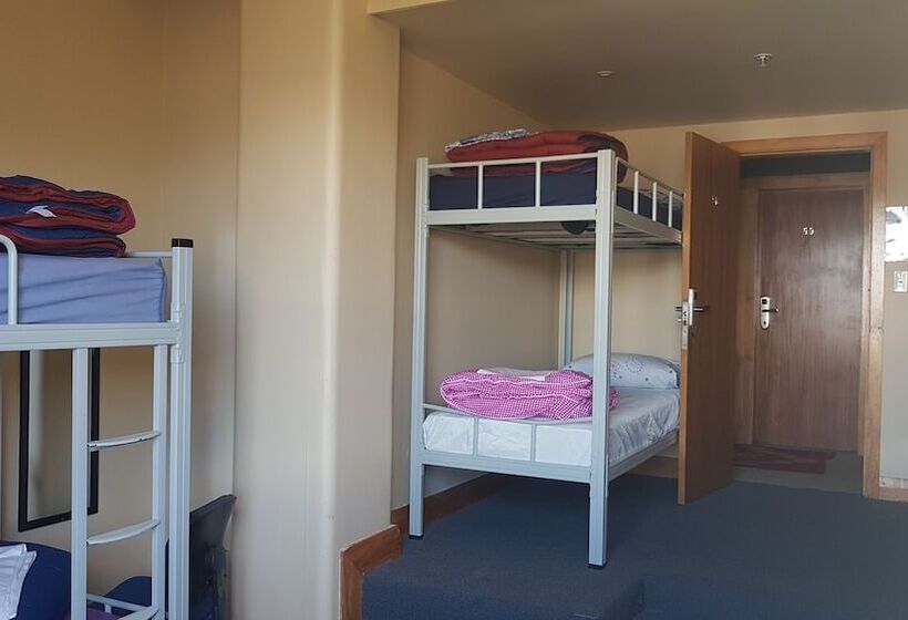 Общежитие Wild Zebra Backpackers