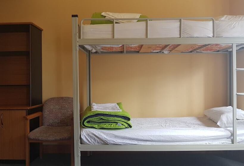 Общежитие Wild Zebra Backpackers