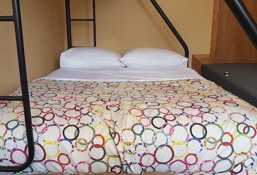 Общежитие Wild Zebra Backpackers