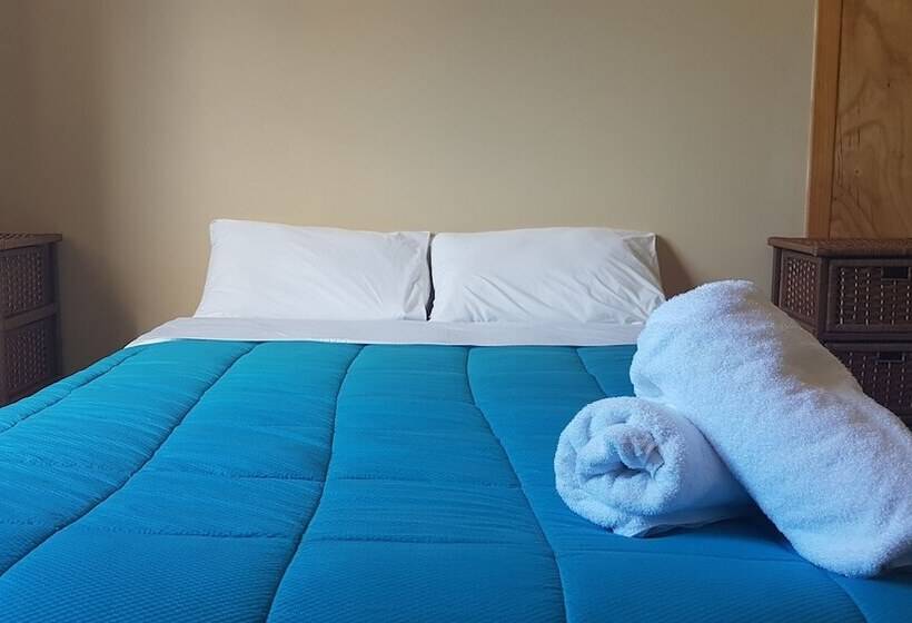 Общежитие Wild Zebra Backpackers