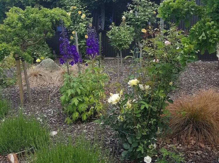 Alpine Rock B&b