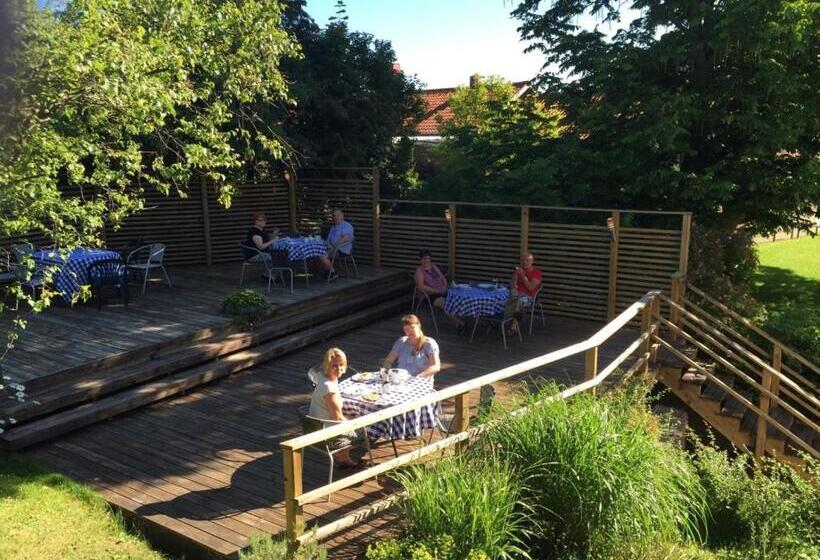 Aurora Bed & Breakfast