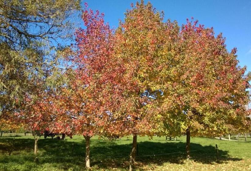 צימר Korbaylen Estate