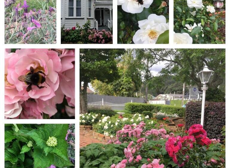 Chelsea House Bed & Breakfast