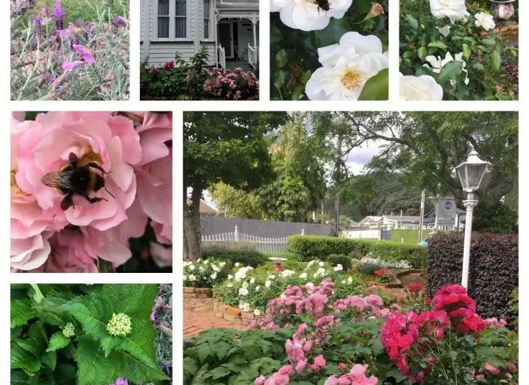 Chelsea House Bed & Breakfast