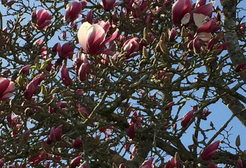 Chelsea House Bed & Breakfast