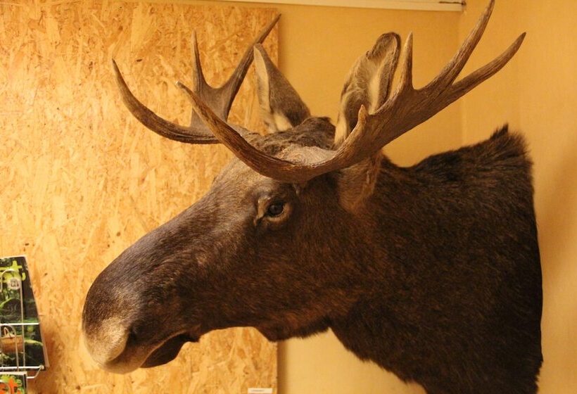 Hällefors Vandrarhem Hostel & Kanotcenter