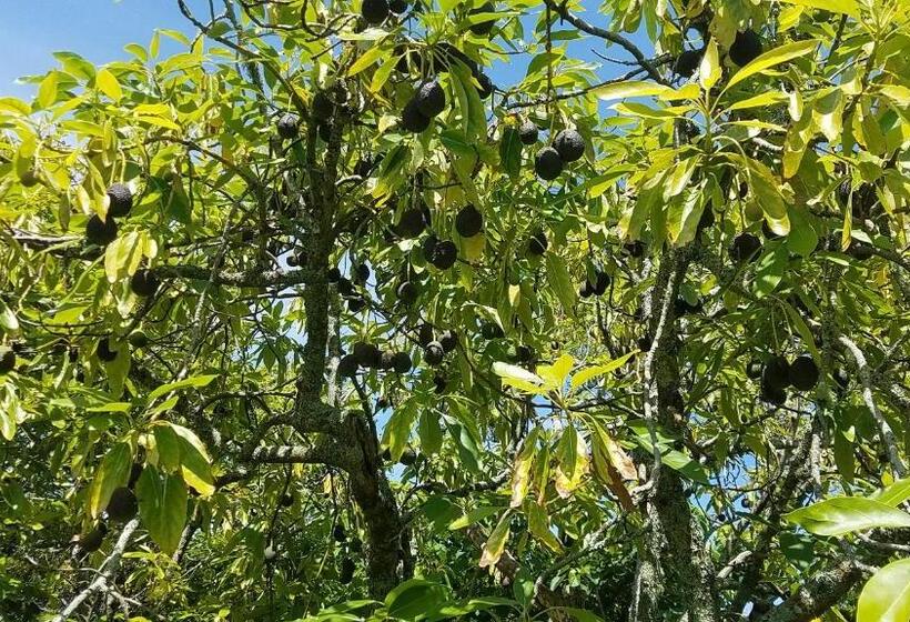 Kerigold Secluded Chalets Motel