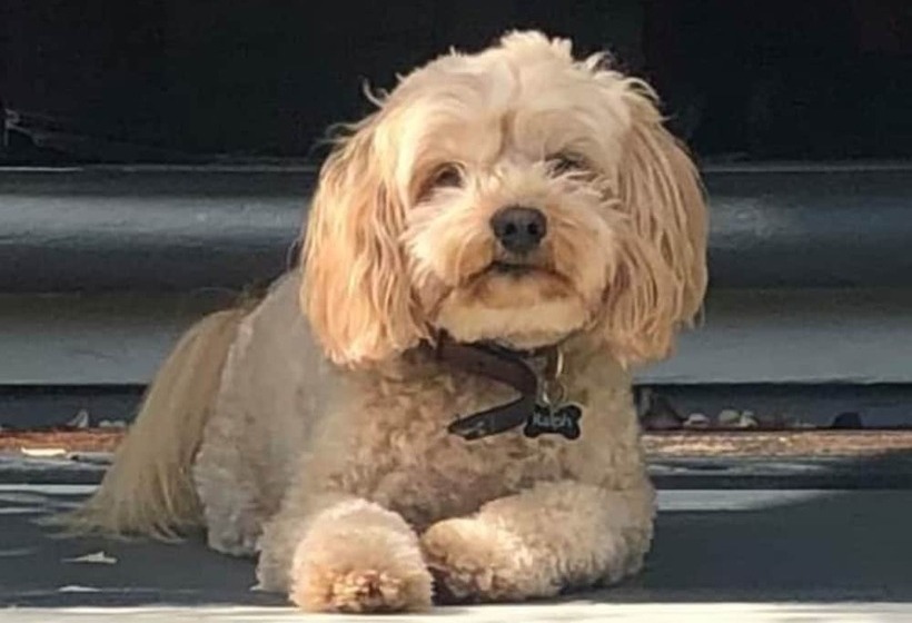 Lilac Rose Boutique Bed And Breakfast