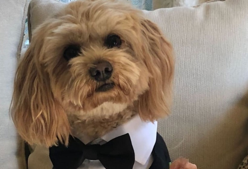 Lilac Rose Boutique Bed And Breakfast