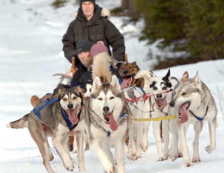 Lomakeskus Pite Havsbad Piteå