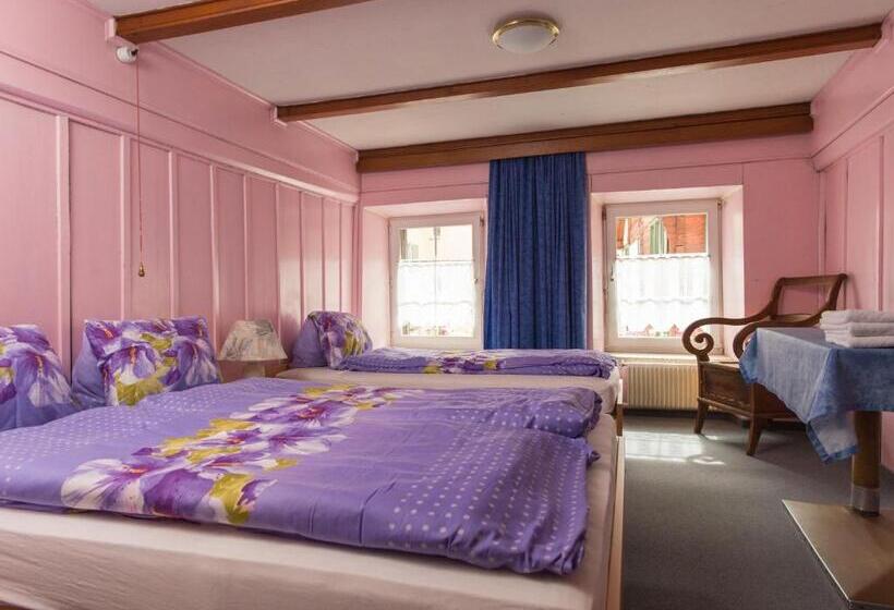 旅馆 Gasthaus Pension Zum Turm