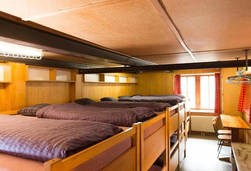 旅馆 Gasthaus Pension Zum Turm