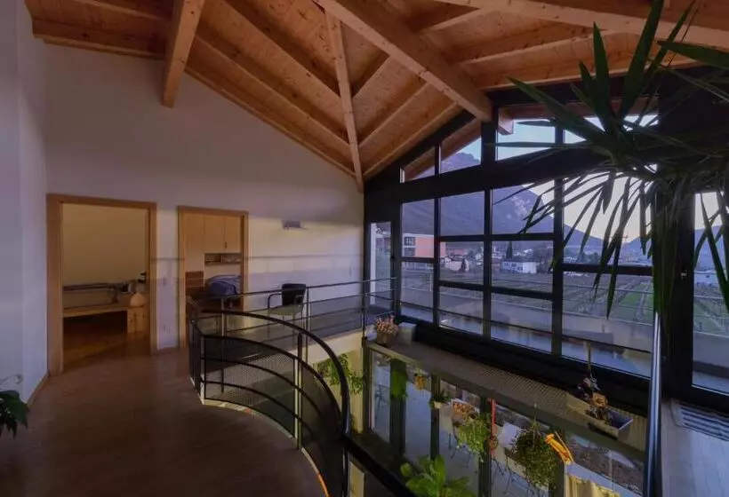 B&b Il Vigneto