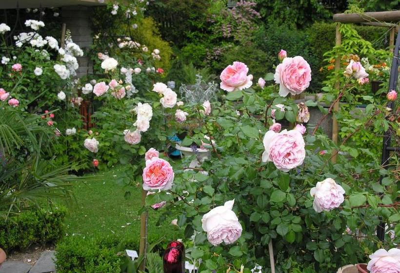 Bed And Breakfast Im Röseligarten