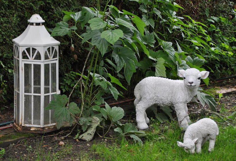 Bed And Breakfast Im Röseligarten