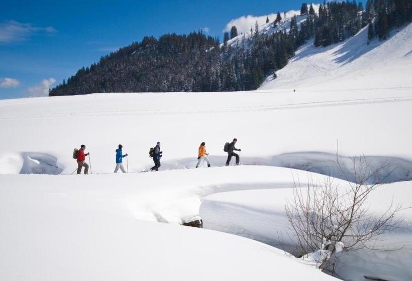 בית מלון כפרי Cristal Flumserberg