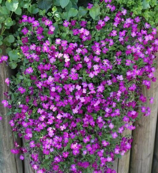 ホテル Glärnisch Hof