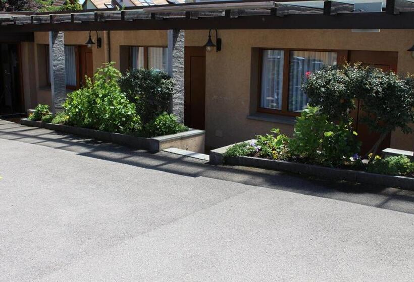 ホテル Glärnisch Hof