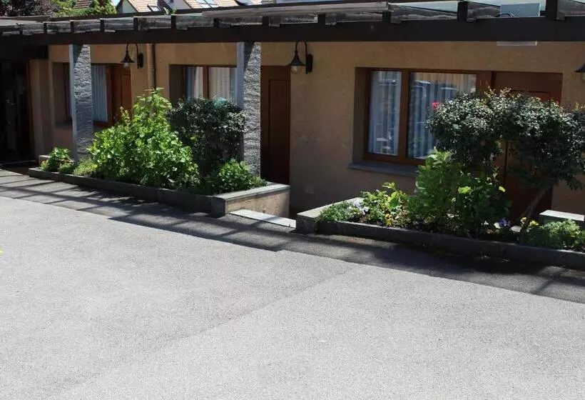 ホテル Glärnisch Hof
