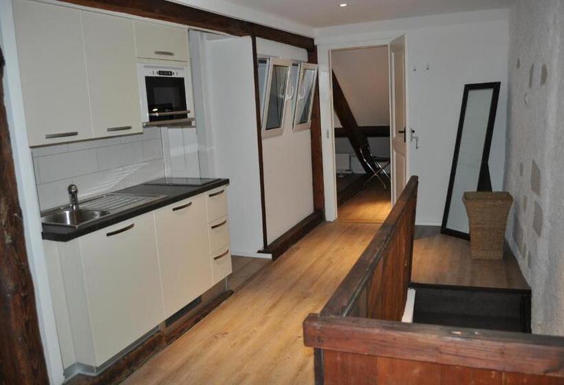 هتل Hôtel Du Raisin