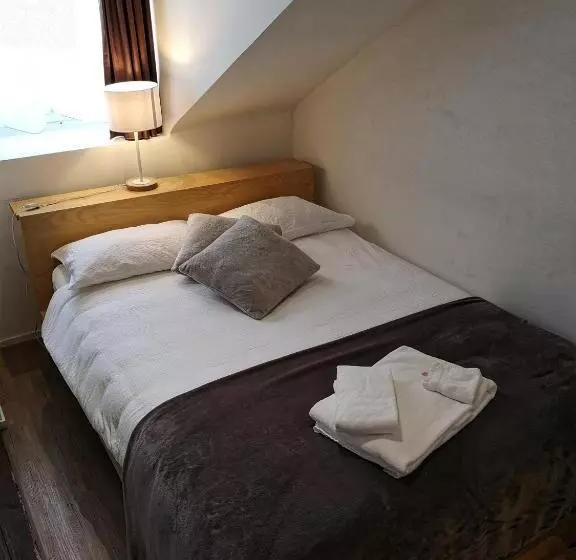 هتل Hôtel Du Raisin