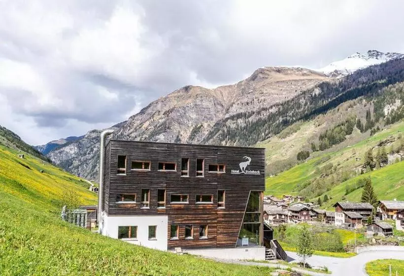 Hotelli Steinbock Vals