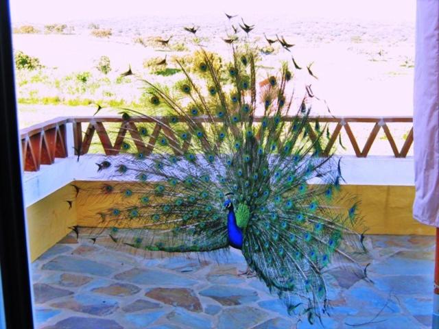 Naveterra Hotel Rural