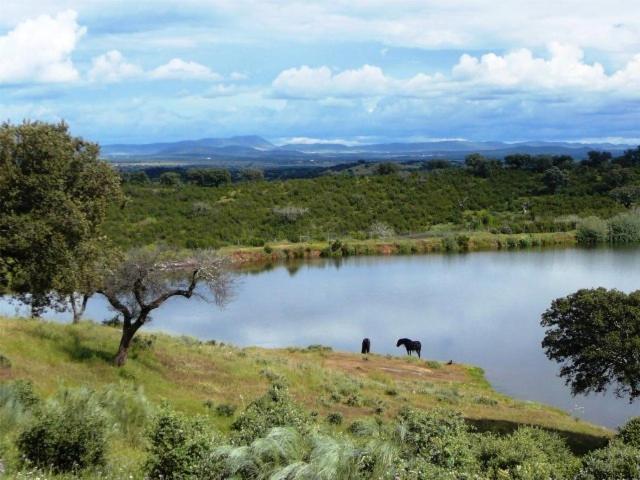 Naveterra Hotel Rural