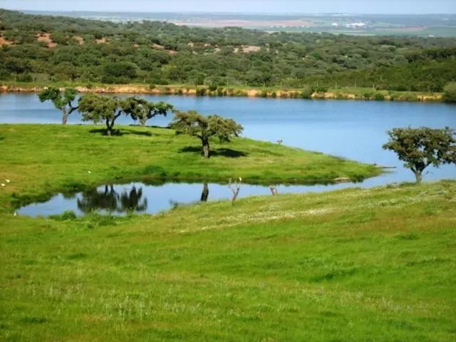 Naveterra Hotel Rural