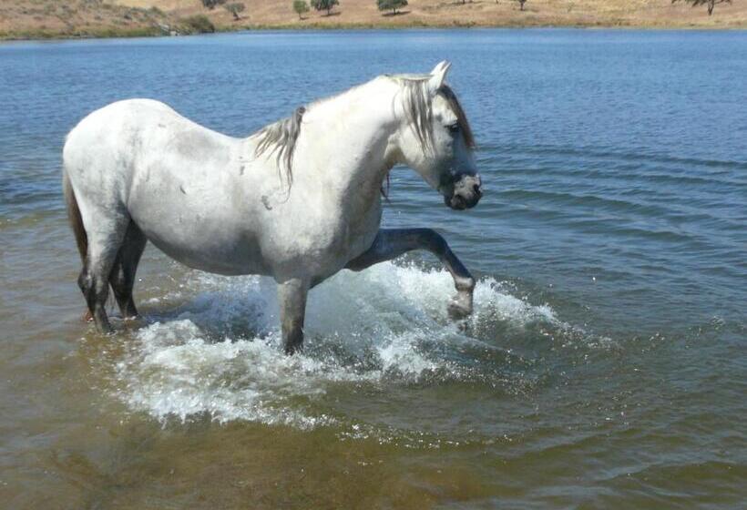 Naveterra Hotel Rural