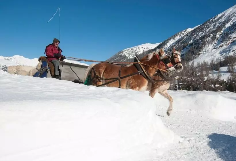 Pontresina Youth Hostel