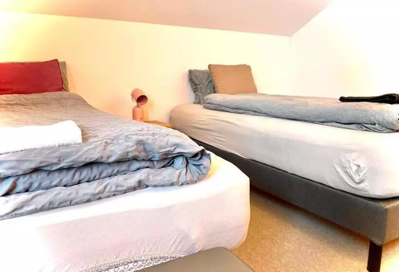 Viva Hostel