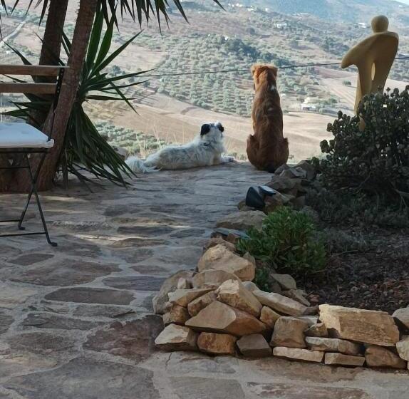 Bed & Breakfast Casa Sinne