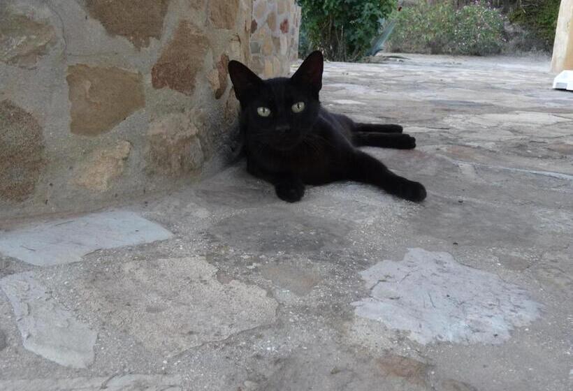 Bed & Breakfast Casa Sinne