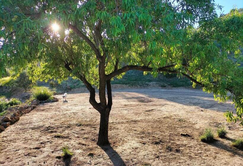 Bed & Breakfast Casa Sinne