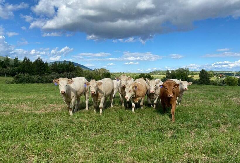 בית מלון כפרי La Belle Excuse