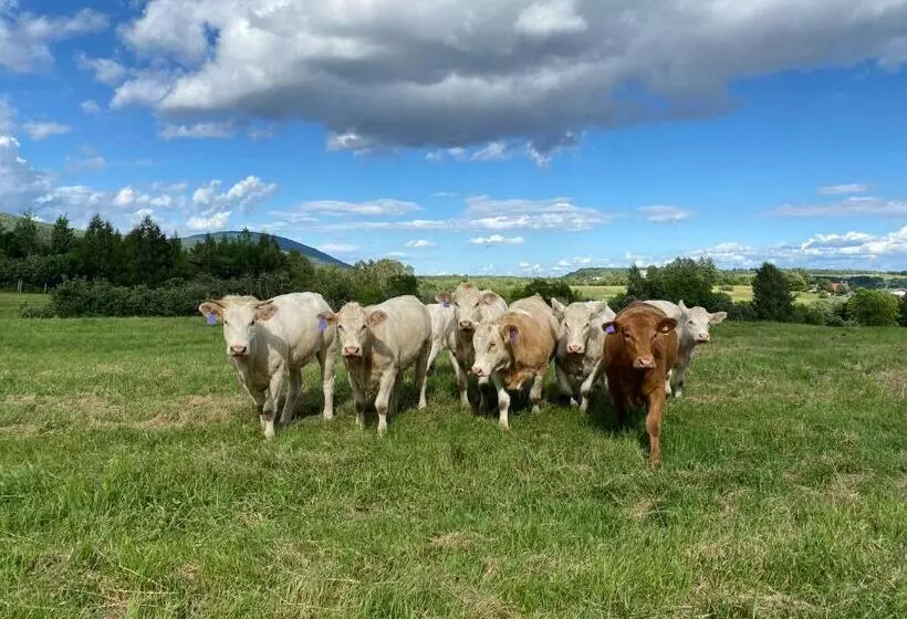 Hotelli La Belle Excuse