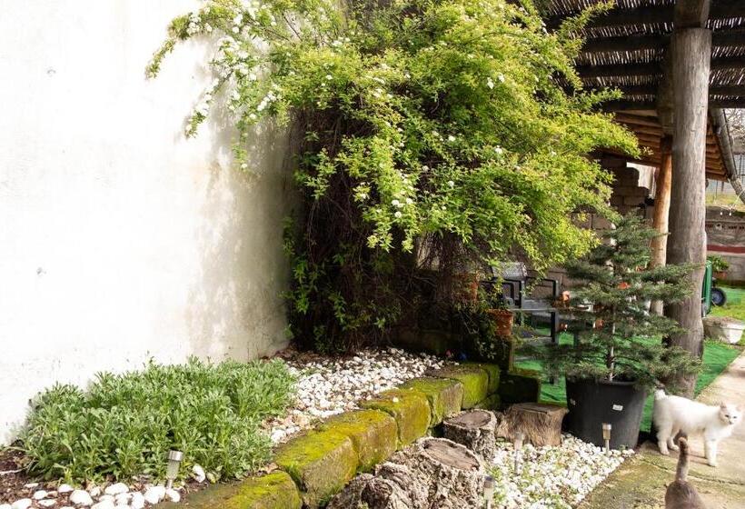 Пансион Sa Burra Guest House