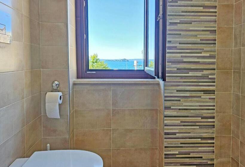 بنسيون Terrazza Vista Lago