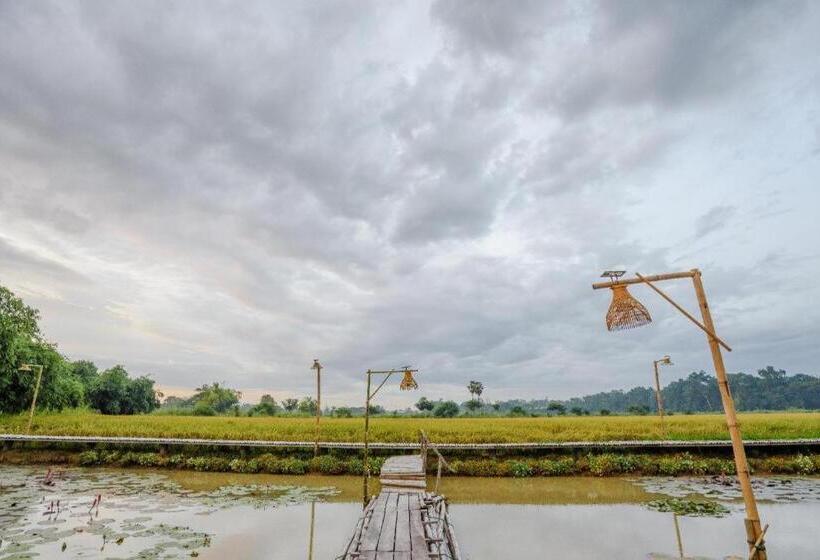 Resort Nornnadubua นอนนาดูบัว