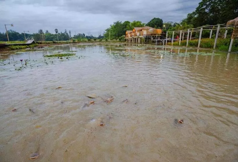 Lomakeskus Nornnadubua นอนนาดูบัว