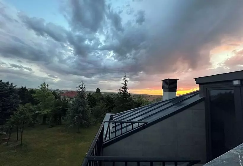 ホテル Aslan Airport