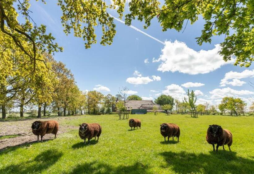 Bed And Breakfast Batenborg