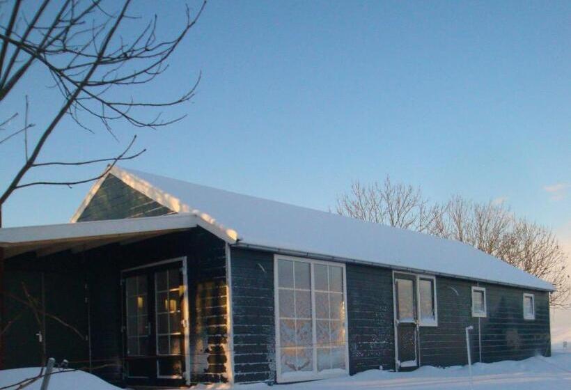 Bed And Breakfast De Zwanebloem