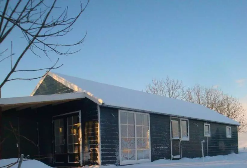 Bed And Breakfast De Zwanebloem