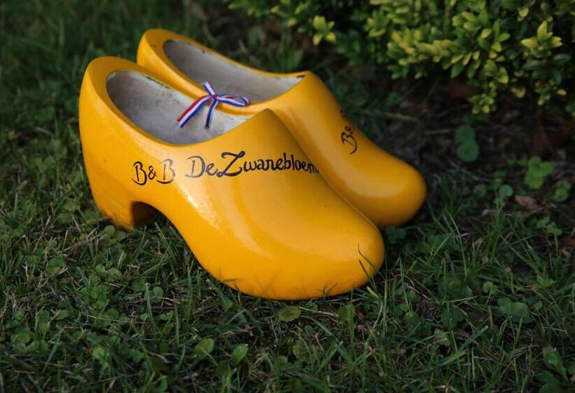 Bed And Breakfast De Zwanebloem